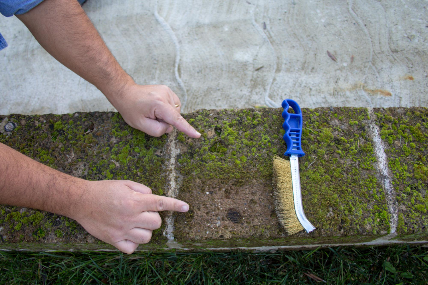 Moss removal