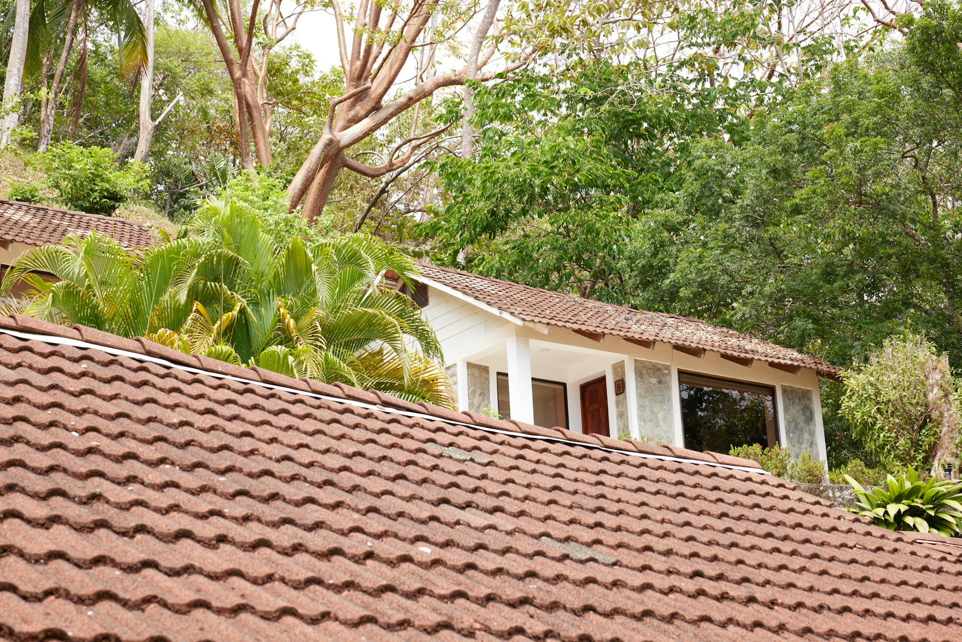 roof maintenance